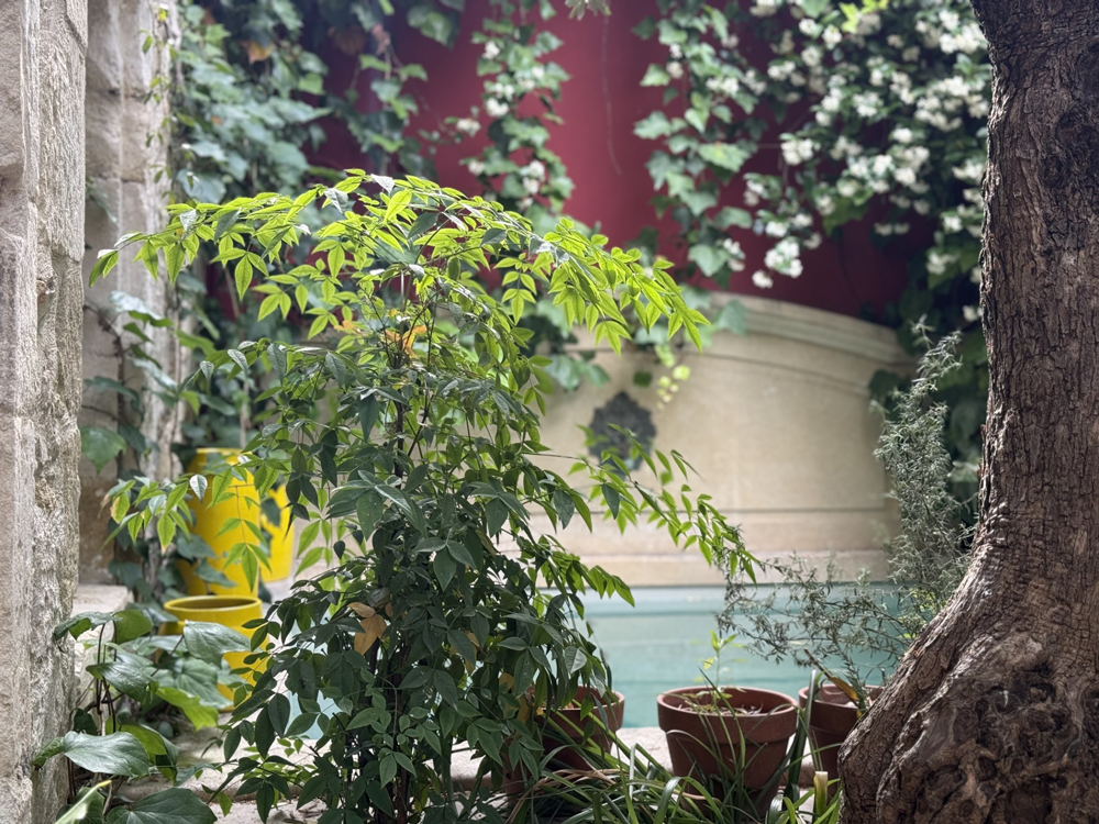 restaurant gastronomique maison soubeiran maison soubeiran à lunel